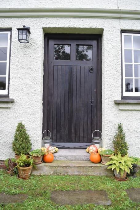 Cedra Cottage - Vintage Country Hideaway Axminster Exterior photo