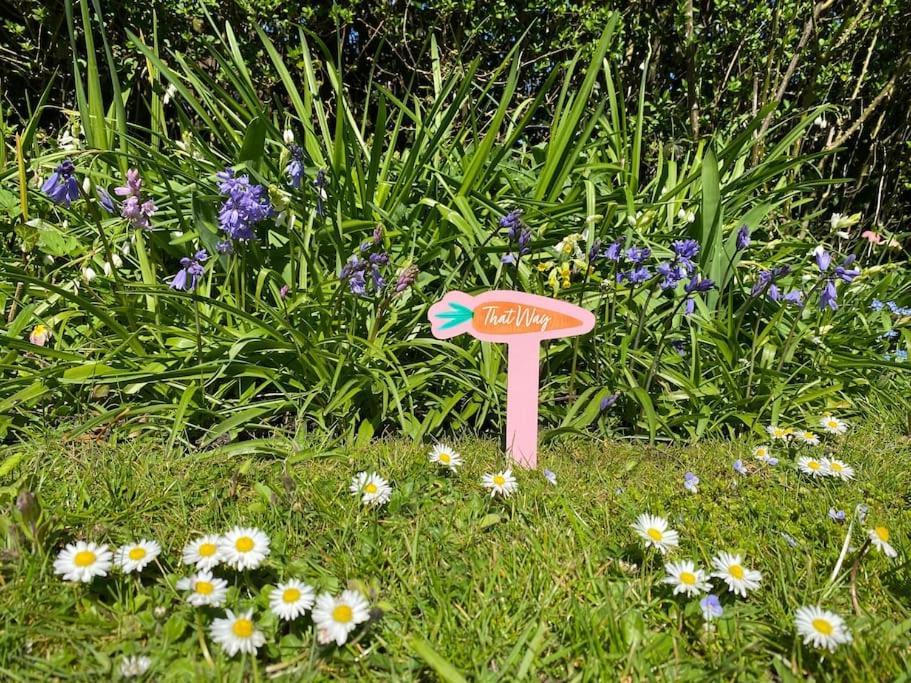 Cedra Cottage - Vintage Country Hideaway Axminster Exterior photo